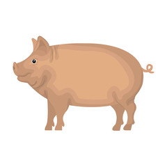 pig animal farm icon vector illustration design