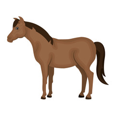 horse animal farm icon vector illustration design