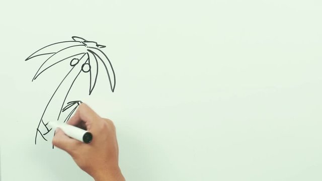 Hand drawing island with palm trees, sun and beach whiteboard.