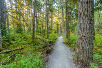 Beautiful Mountain Trail View at Joffre Lakes, British Columbia, Canada.