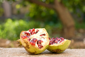 Ripe organic pomegranate, cut in half. Selective focus, natural green bokeh.