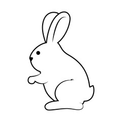 Obraz premium cute rabbit character isolated vector illustration design