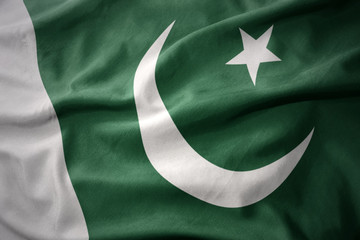 waving colorful flag of pakistan.