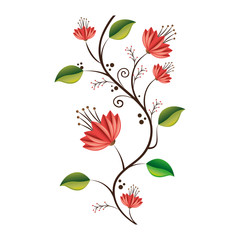 beautiful flower decoration card vector illustration design