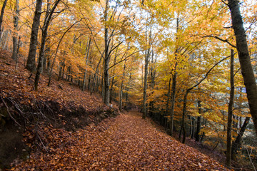 Rota das Faias, Serra da Estrela