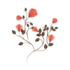 beautiful flower decoration card vector illustration design