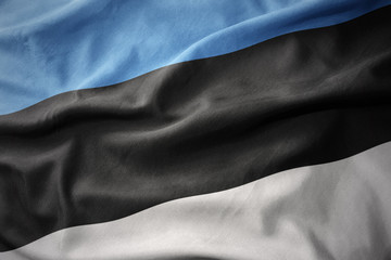 waving colorful flag of estonia.