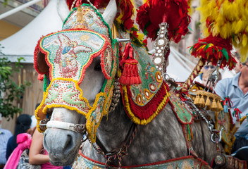 Closeup view of a horse head of a sicilian cart and its ornamental harness