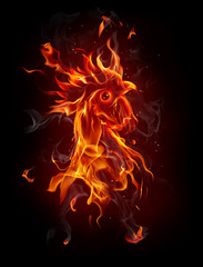 Fototapeta premium Fire rooster, symbol of 2017 on the Chinese calendar