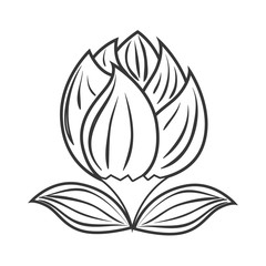 beautiful flower decoration card vector illustration design