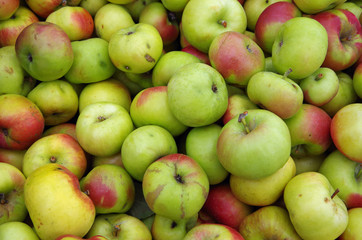 Mini apples piled for market