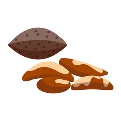 Pile of nuts vector illustration Brazil 