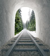Wall murals Tunnel Railway tunnel with landscape view