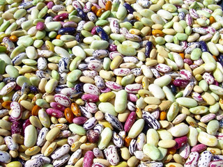 A lot of colorful dried beans
