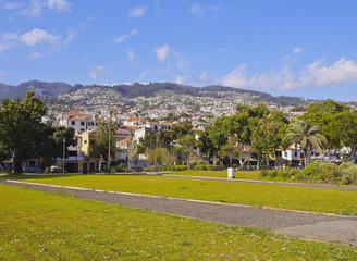 Fototapeta na wymiar Portugal, Madeira, Funchal, View of Almirante Reis Park..