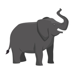 elephant animal big isolated vector illustration design
