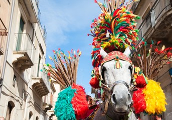 Closeup view of a horse head of a sicilian cart and its ornamental harness