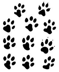 Pfoten, Tatzen freigestellt und maskiert