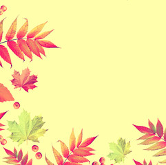 Fototapeta na wymiar Bright colorful autumn foliage. Abstract background. Composition