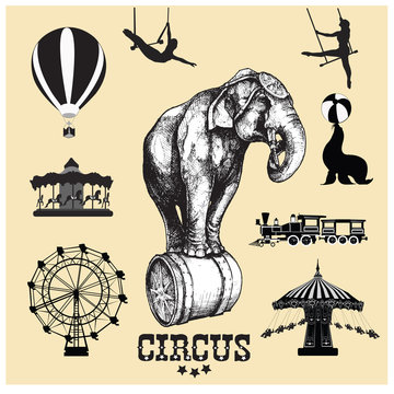 Circus and amusement park vector illustrations. Elephant.