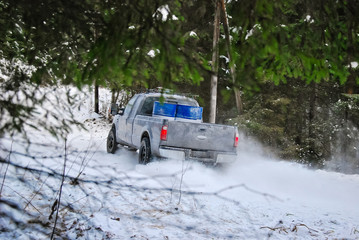 Pickup truck rides winter snow road in a pine forest