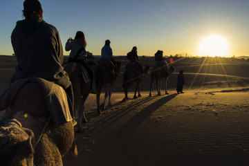 Naklejka premium People riding camels in the sunset in the desert of Sahara