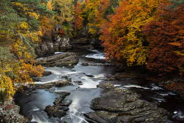 Invermoriston Autumn