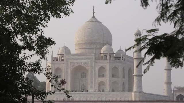 MH LD Taj Mahal with Trees in Foreground / Agra, India