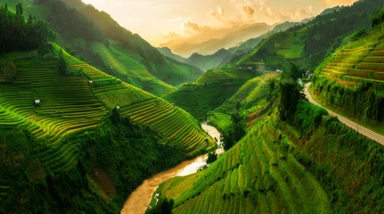 Fotobehang Eetkamer Terrasvormig rijstveld in Mu Cang Chai, Vietnam