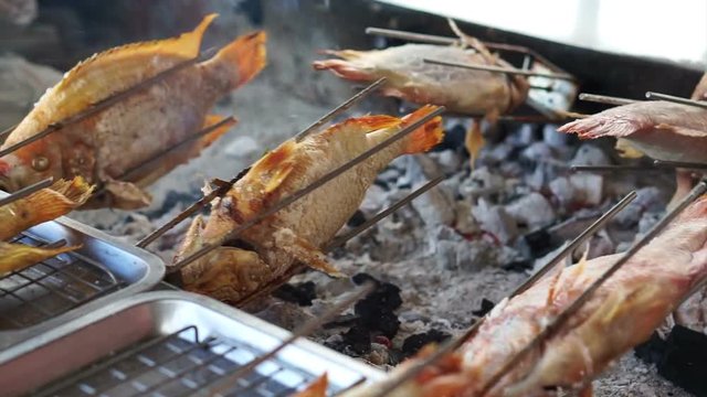 Whole fish roasting machine, red fish grill with charcoal