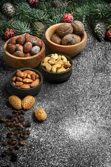 Obraz na płótnie Canvas Forest nuts nuts for Christmas