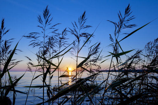 Fototapeta sunset light