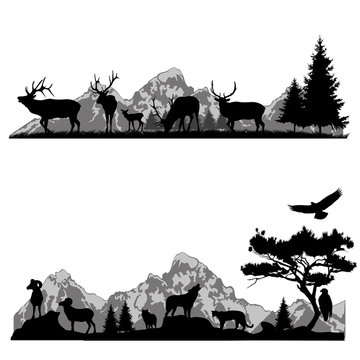 Vector set of illustration with wild animals