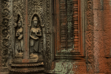 Devatas carving in Ta Prohm temple