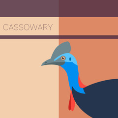 Cassowary Flat Postcard