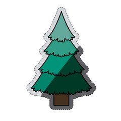 Pine tree icon. Christmas season decoration and celebration theme. Isolated design. Vector illustration