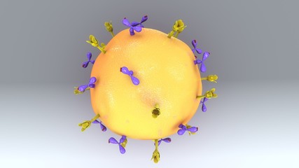 Plasma Cell 