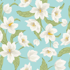 Winter rose hellebore flowers seamless pattern on light blue background. Christmas rose. Lenten rose. Helleborus niger. Detailed vector design illustration. Floral foliage garland.