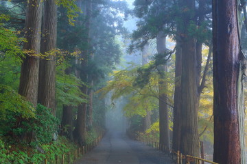 Fototapeta premium 世界遺産 平泉 紅葉の中尊寺