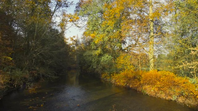 Quiet river flowing and trees in a park in autumn