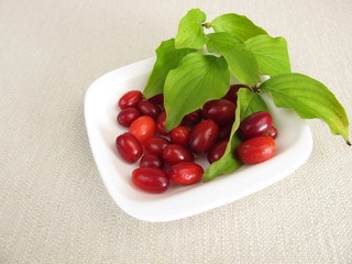 Reife Kornelkirschen