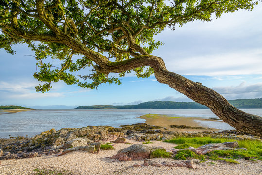 Rockcliffe Coast, Scotland, United Kingdom