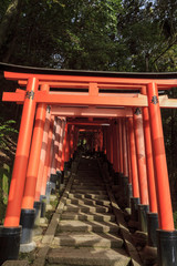 Fototapeta na wymiar The famous Fushimi Inari-taisha in Kyoto