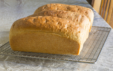 Bread Cooling On A Baking Rack