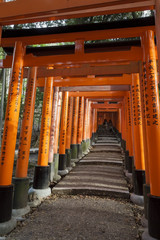 The famous Fushimi Inari-taisha in Kyoto