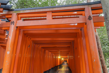 The famous Fushimi Inari-taisha in Kyoto