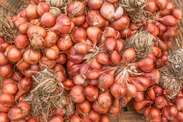 Shallots are the basic ingredients for spicy food, Thailand.