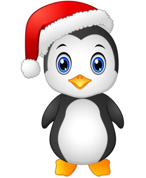 Christmas Penguin With Santa Hat 