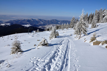 Fototapeta na wymiar Frosty and sunny day in the mountains