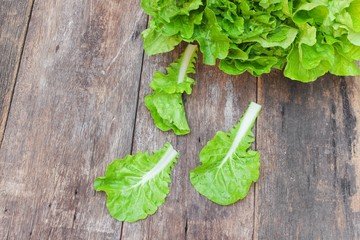 chinese cabbage organic vegetables on a wooden table. Insect eat